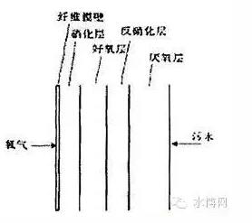 澳门原料网1688