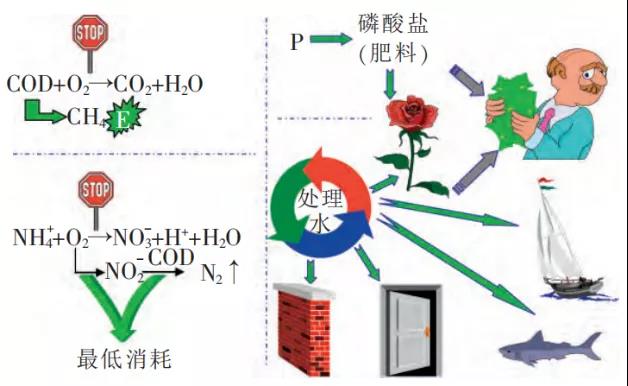  污水处理的未来：回归生态循环